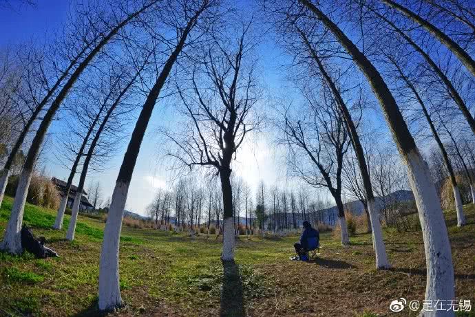 lantian2